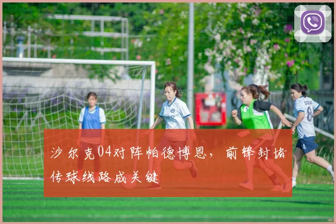 沙尔克04对阵帕德博恩，前锋封堵传球线路成关键
